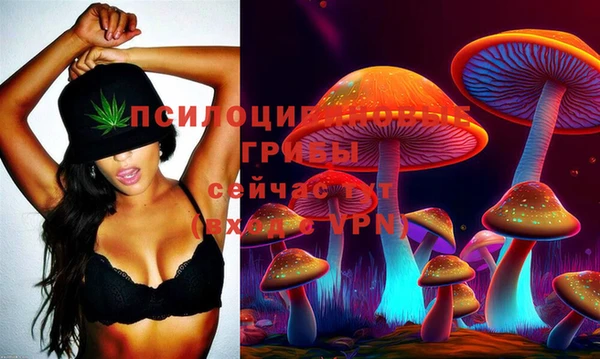 амфетамин Покачи
