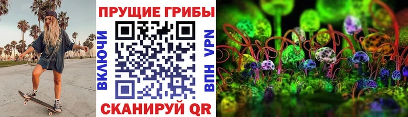 Купить закладки  Полярные Зори  Галлюциногенные грибы прущие грибы 